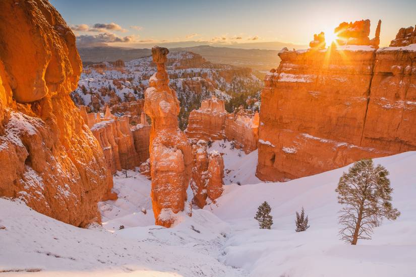 Photo - USA - Bryce Canyon #23